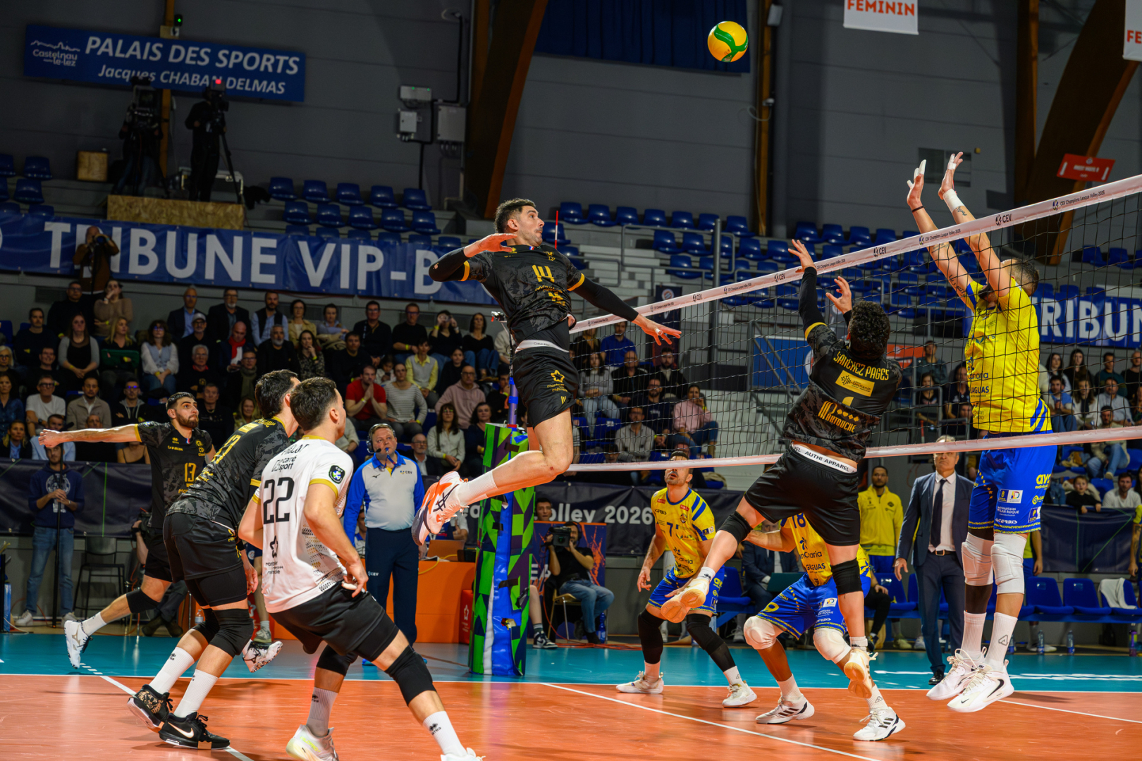 volley-ball joueurs ballon filet public