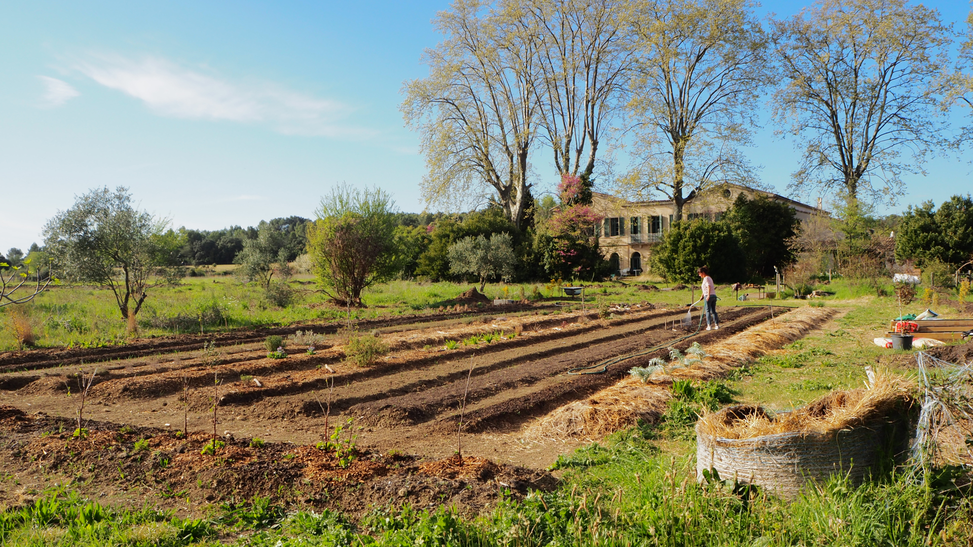 une parcelle de terre en maraîchage 
