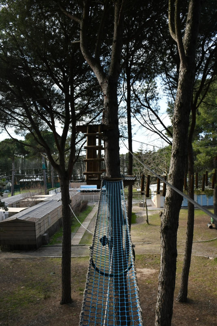 accrobranche