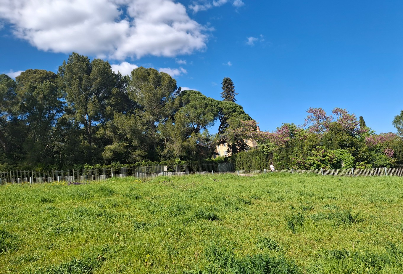 Le parc et la demeure