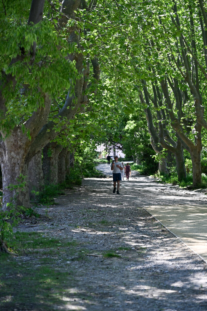 l'intérieur du parc