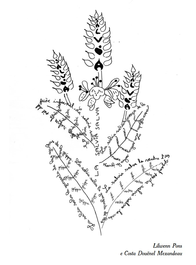 calligramme