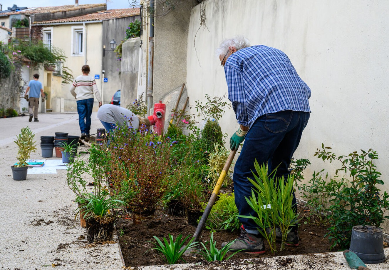 Fleurissement quartier Celleneuve