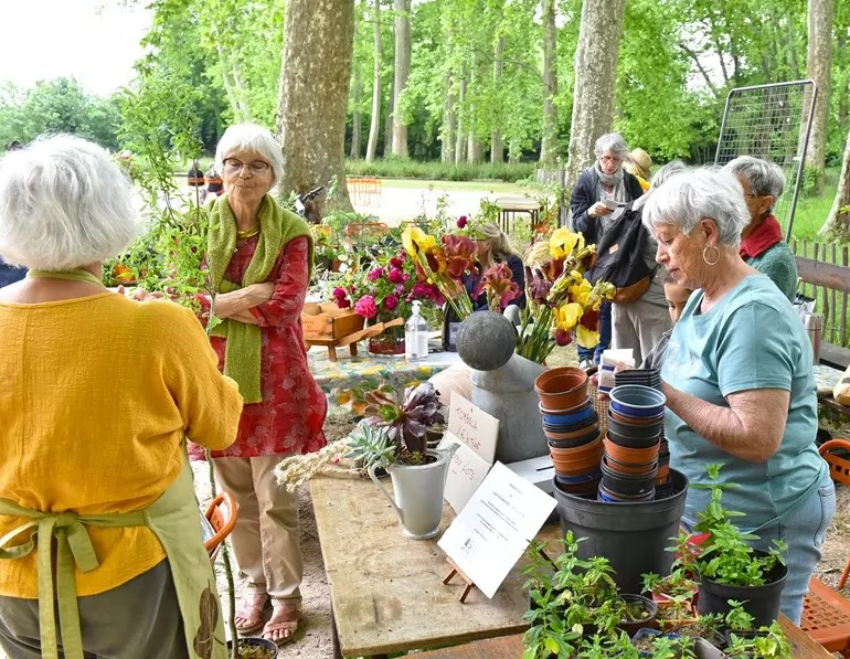 le marché aux plants