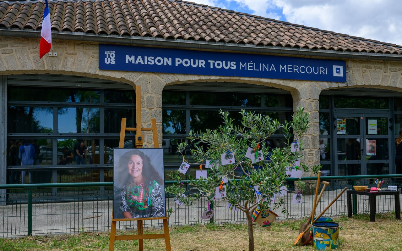 un olivier à la maison pour tous Mélina Mercouri