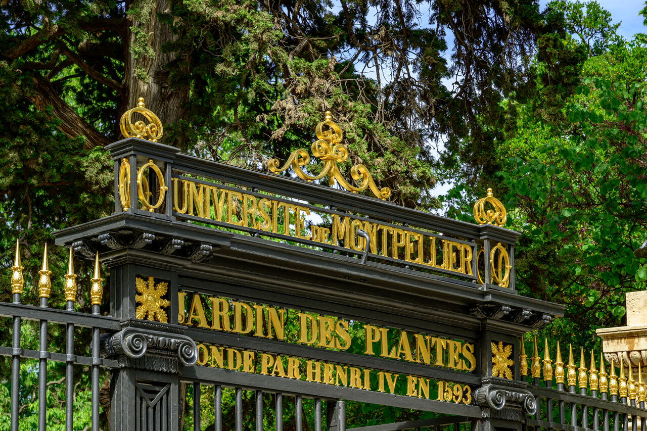 Portail Jardin des plantes Montpellier