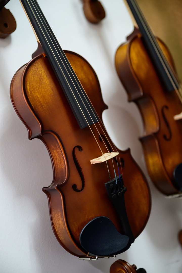 violons 