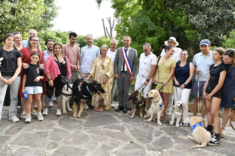 Ecole de chiens guides