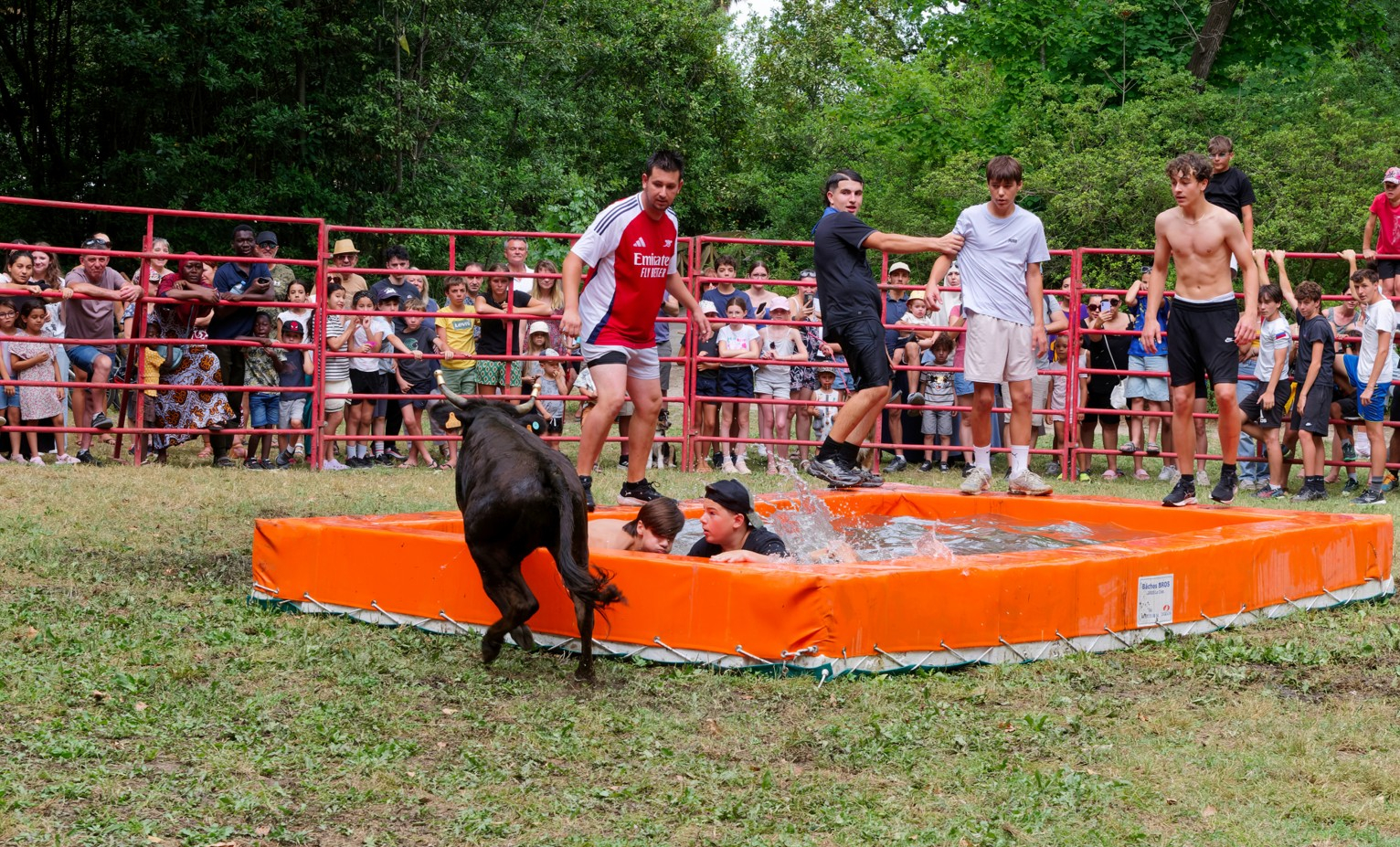 Toro piscine à Jacou