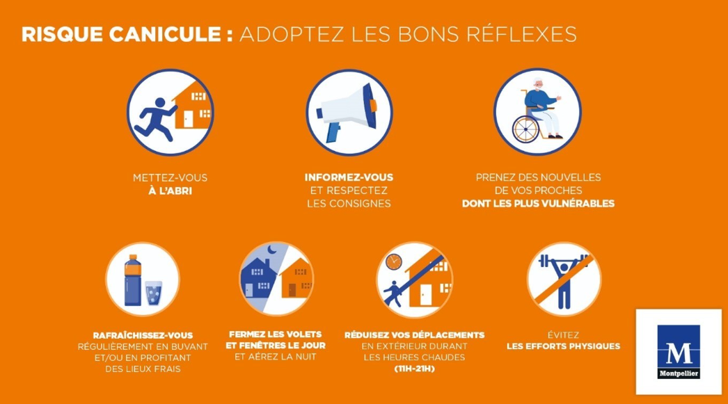 Les bons gestes à adoprer lors de la canicule