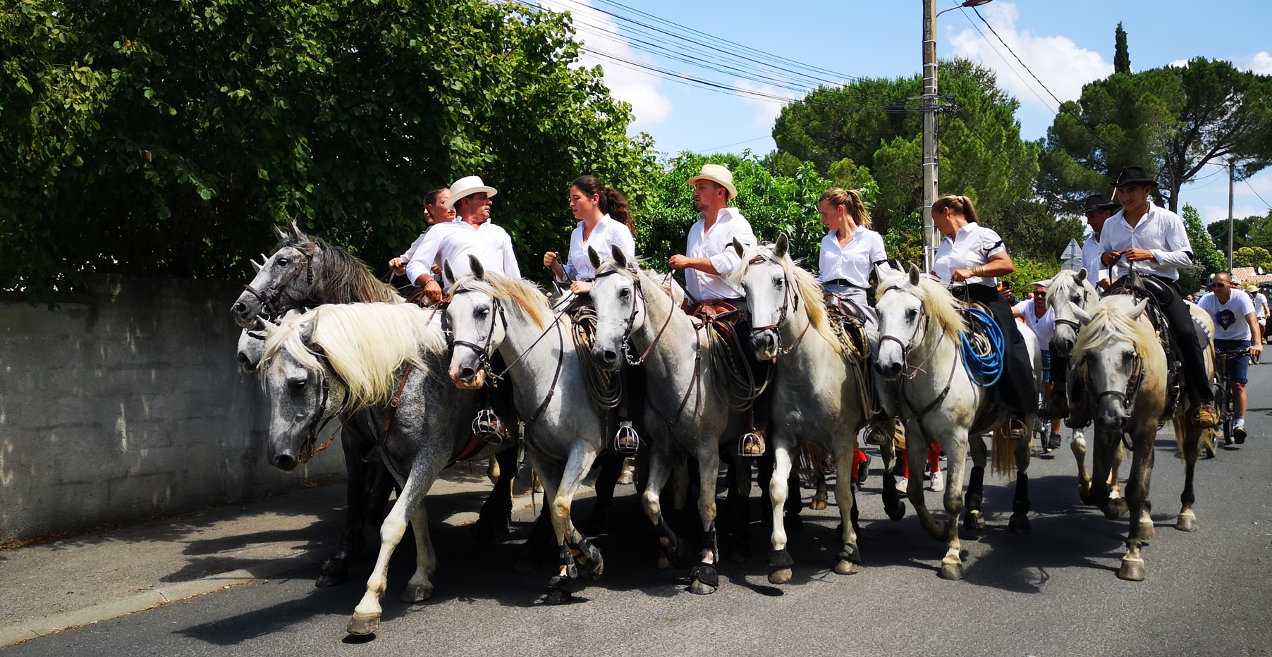 Photo de gardians à cheval
