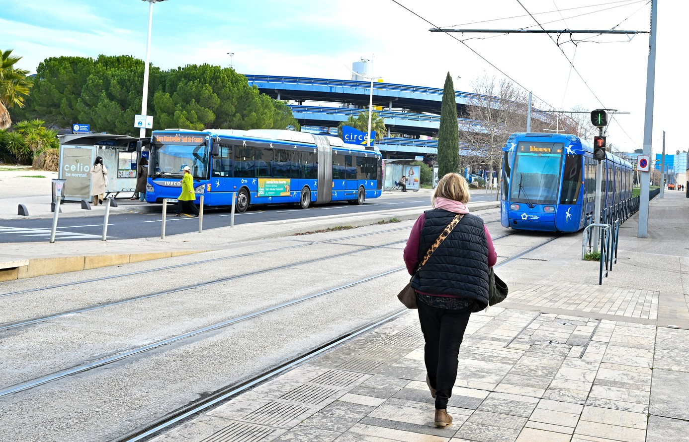 bus et tramway