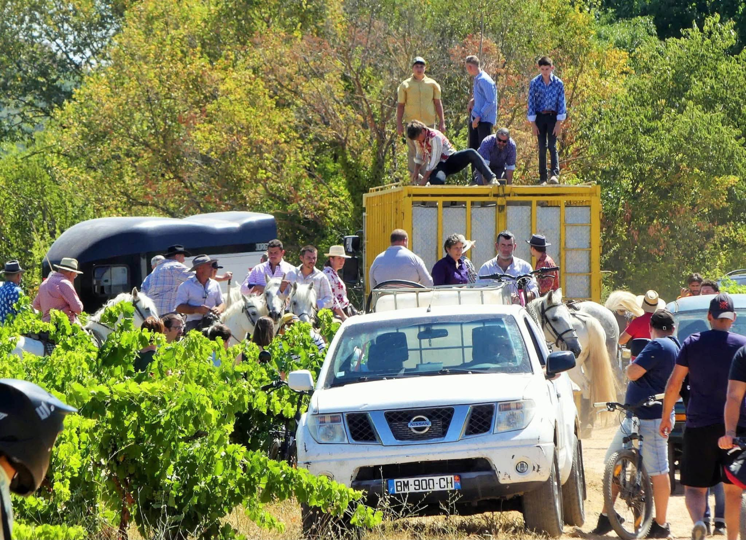 Sorties voitures et chevaux