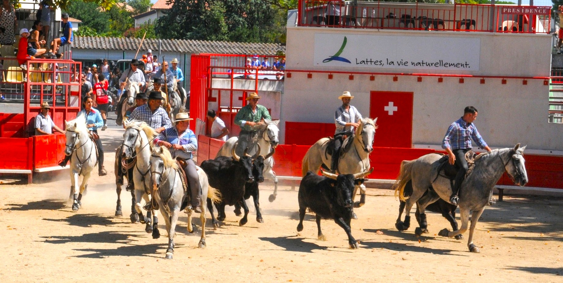 Animations taurines dans les arènes