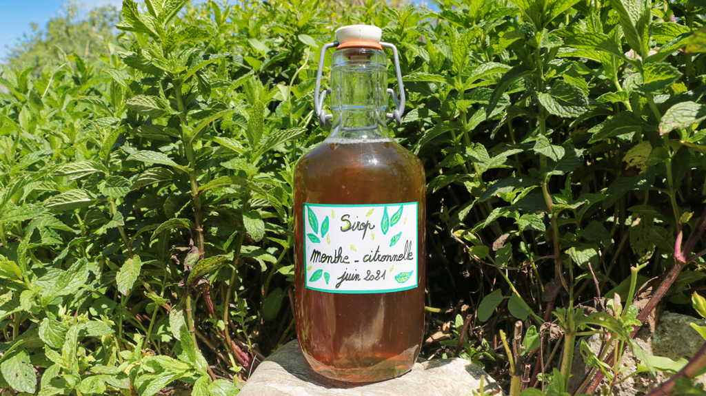 PHOTO DE SIROP DE MENTHE A LA CITRONNELLE