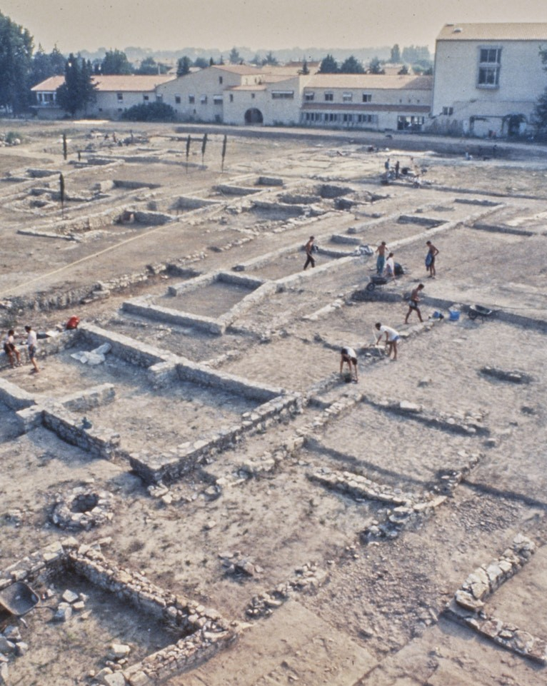 le site archéologique 