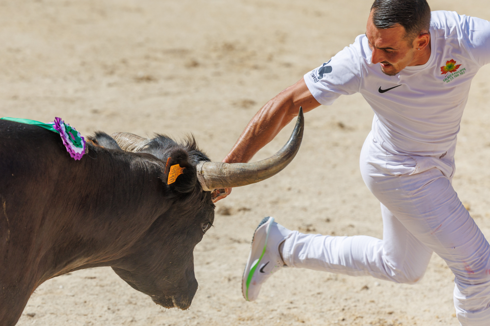 Raseteur dans l'ar&egrave;ne