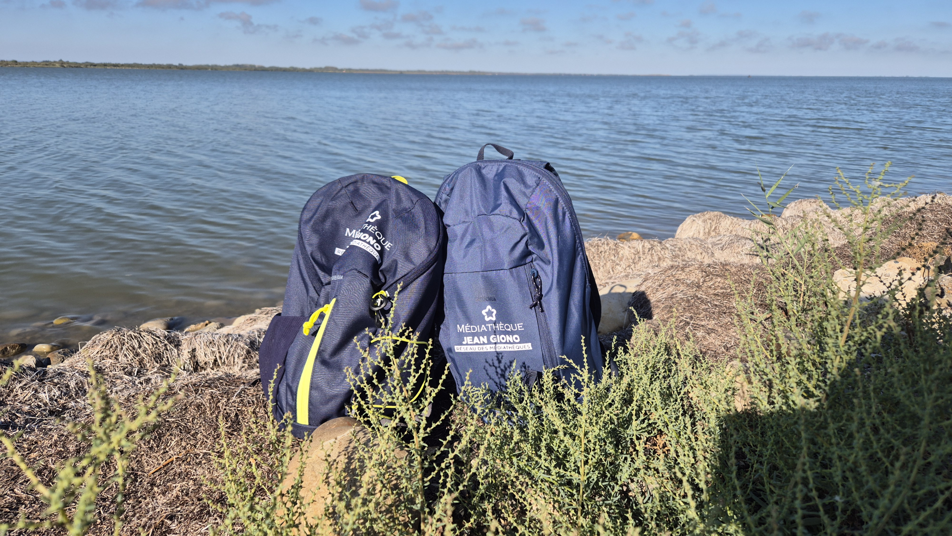 les sacs à dos posés au bord de l'étang 