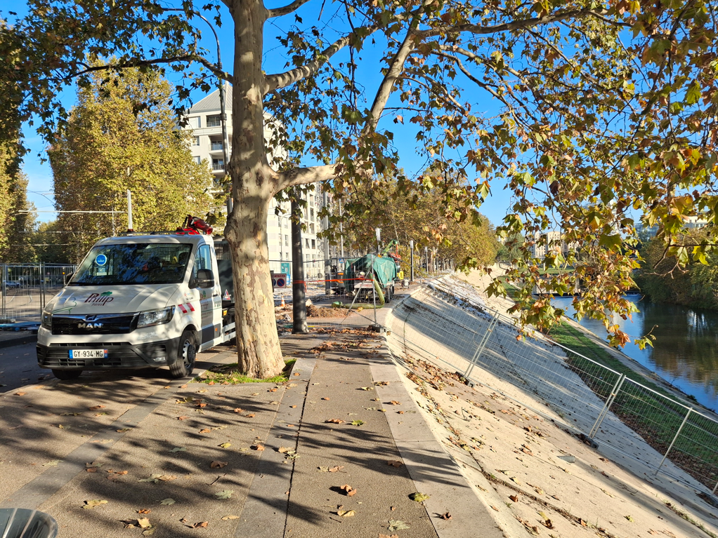 avenue du Pirée et berges du Lez, arbres et travaux 