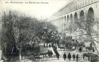 Carte postale représentant le marché aux chevaux aux Arceaux dans les années 1900