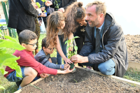 Un temps de plantation dans le jardin partagé 