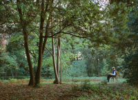 Photo de Max Rouquette au Jardin des Plantes