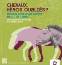 l'affiche