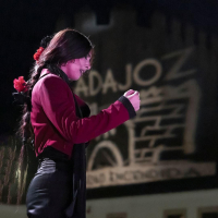 Une artiste flamenco sur scène 