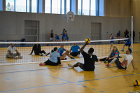 démonstration de volley assis, filet, joueurs et joueuses, murs et fênetres du gymnase en arrière-plan