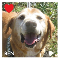 Ben