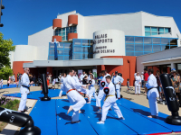 Une démonstration de sports de combat  