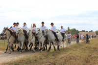Gardians à cheval suivis par la population