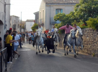 course de taureau dans les rues de sussargues