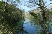 les rives du lez à Lavalette