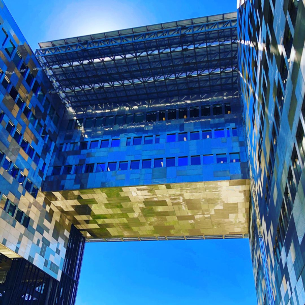 Vue de l'archicture de l'hôtel de ville