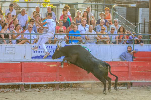 course camarguaise