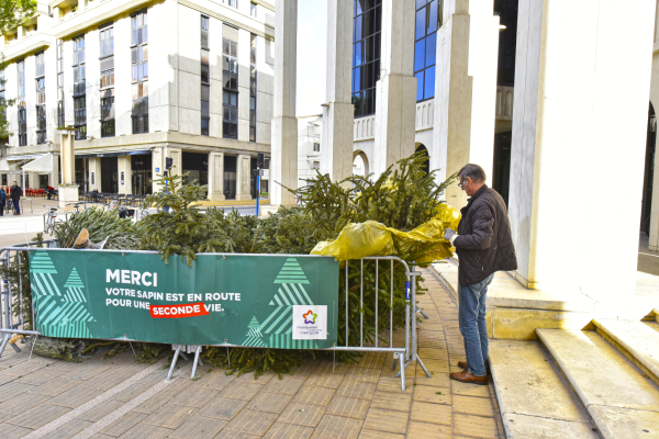 68 parcs à sapins déployés sur la Métropole