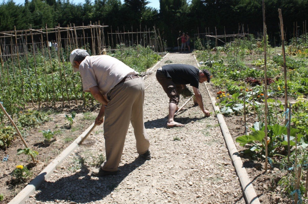 Les jardiniers au travail dans les parcelles