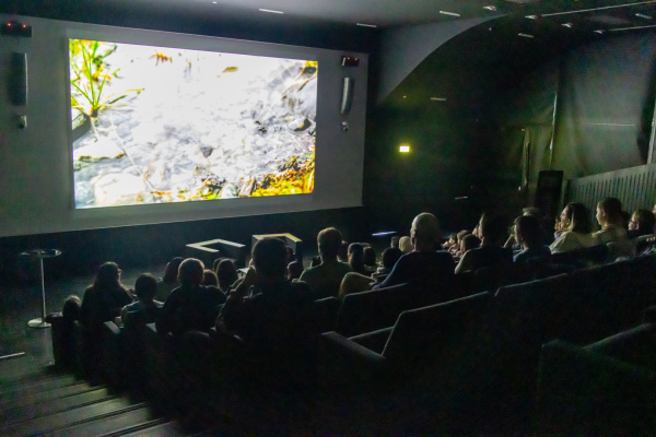 Projections débats à la Salle Rabelais et au Musée Fabre