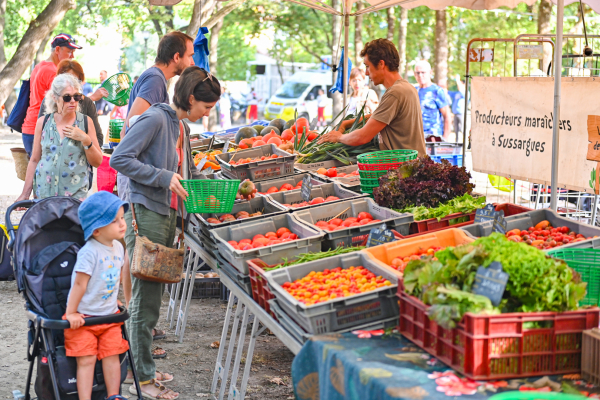 étale de tomates