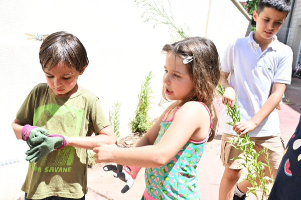  « On a d’abord planté des radis, après des carottes, après du basilic et après c’est tout. C’était très bien. » racontent en cœur Lila et Liam 5 ans