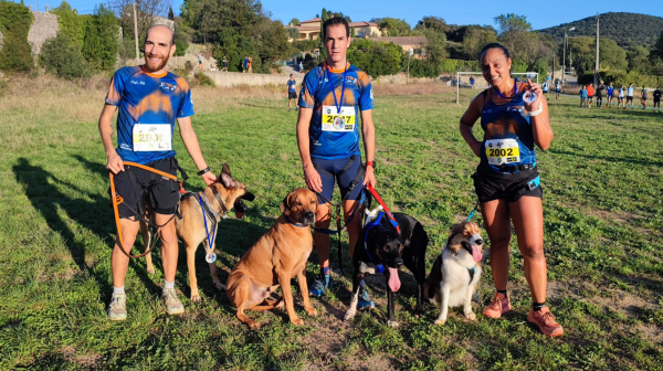 Groupe de coureurs et leurs chiens