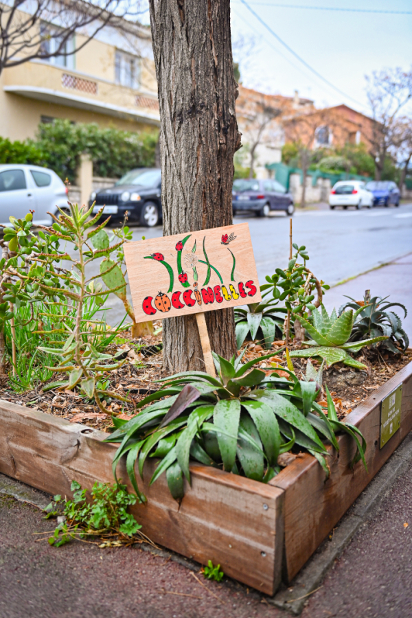panneau décoré plantes arbre végétalisation bois