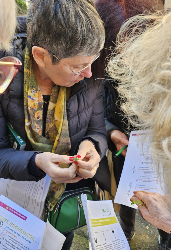 bénévoles livres fiches fleur