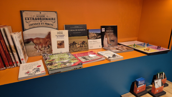bibliothèque
