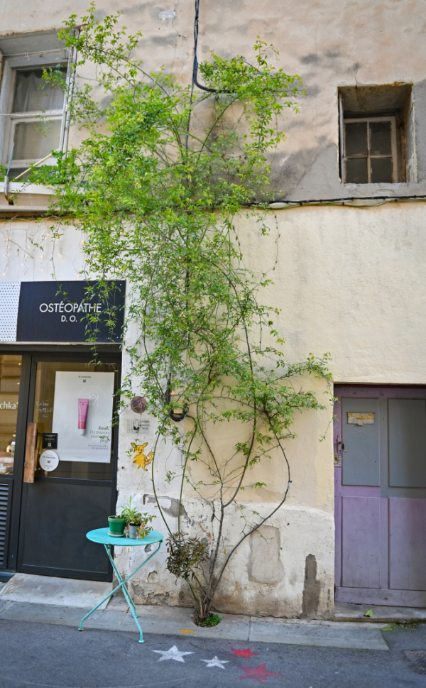façade plante grimpante trottoir boutique 