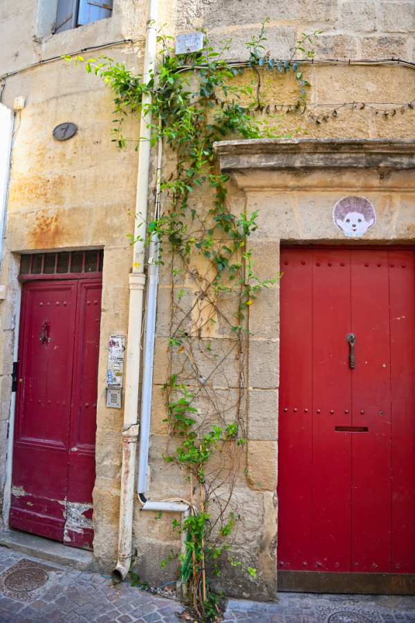 façade porte plante grimpante 