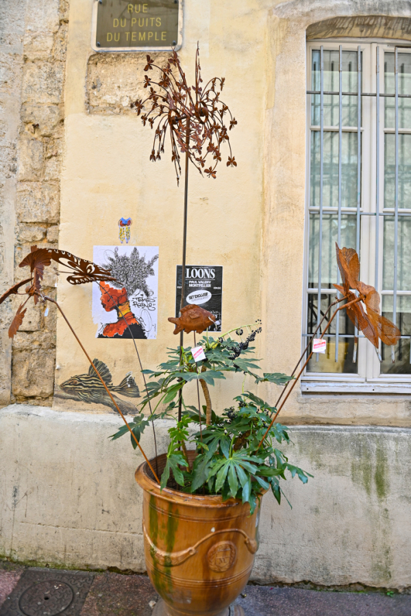 vase d'Anduze plantes façade collages street art 