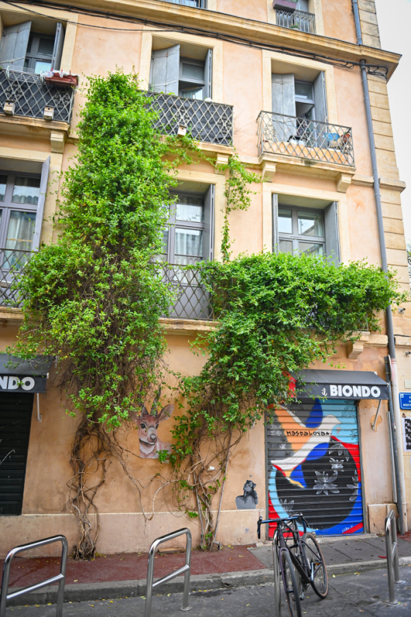 rue de la Méditerrannée façade plante grimpante street art 