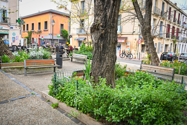 place Jeaumes plantes arbres terrasse de café 